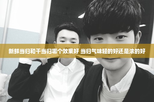 新鲜当归和干当归哪个效果好 当归气味轻的好还是浓的好
