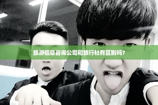 旅游信息咨询公司和旅行社有区别吗？