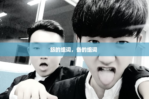 旅的组词，备的组词 