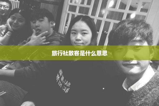 旅行社散客是什么意思