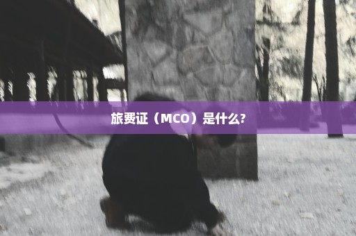 旅费证（MCO）是什么?