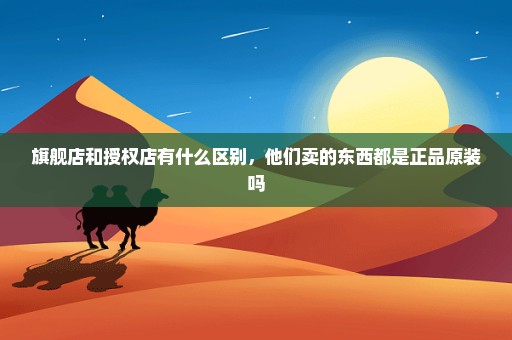 旗舰店和授权店有什么区别，他们卖的东西都是正品原装吗