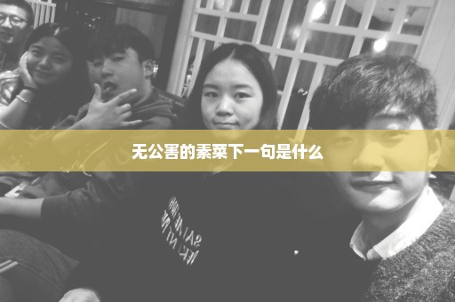 无公害的素菜下一句是什么
