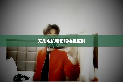 无刷电机和伺服电机区别