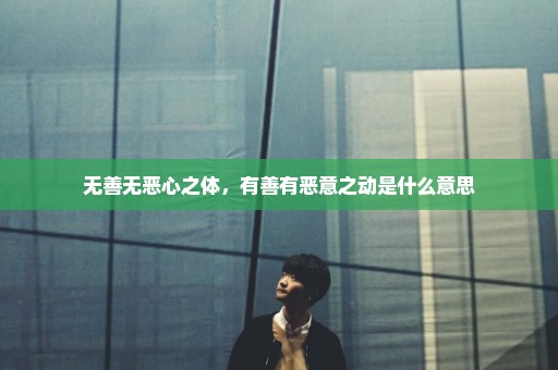 无善无恶心之体，有善有恶意之动是什么意思