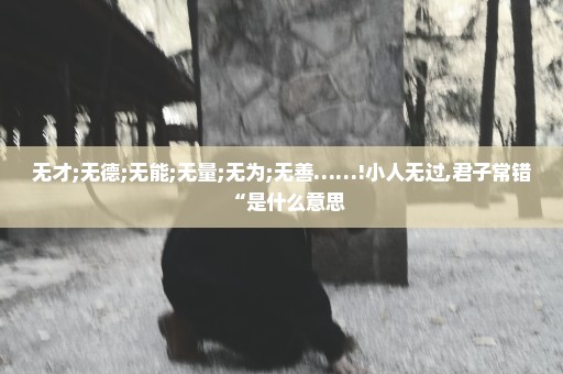 无才;无德;无能;无量;无为;无善……!小人无过,君子常错“是什么意思