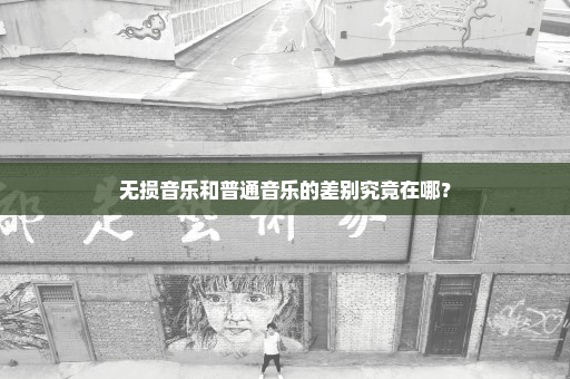 无损音乐和普通音乐的差别究竟在哪？