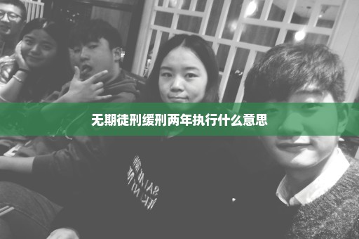 无期徒刑缓刑两年执行什么意思