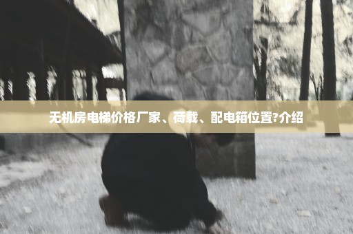 无机房电梯价格厂家、荷载、配电箱位置?介绍