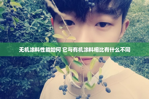 无机涂料性能如何 它与有机涂料相比有什么不同
