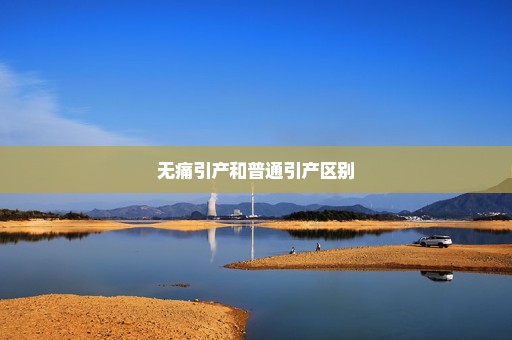 无痛引产和普通引产区别