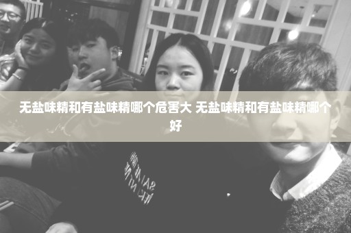 无盐味精和有盐味精哪个危害大 无盐味精和有盐味精哪个好