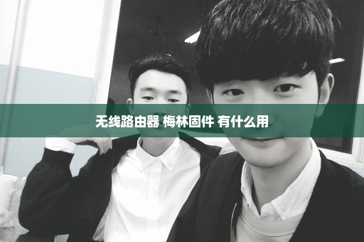 无线路由器 梅林固件 有什么用