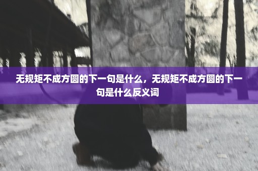 无规矩不成方圆的下一句是什么，无规矩不成方圆的下一句是什么反义词 