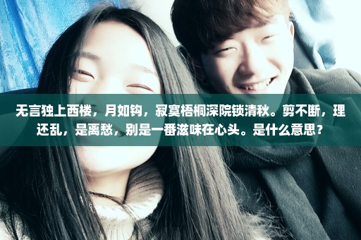 无言独上西楼，月如钩，寂寞梧桐深院锁清秋。剪不断，理还乱，是离愁，别是一番滋味在心头。是什么意思？