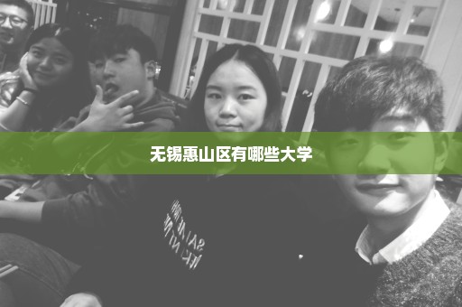 无锡惠山区有哪些大学