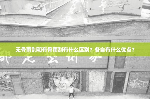 无骨雨刮和有骨雨刮有什么区别？各自有什么优点？