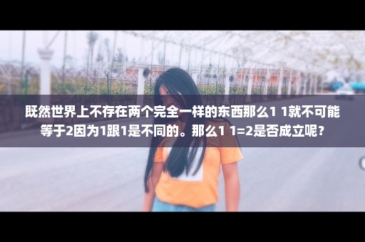 既然世界上不存在两个完全一样的东西那么1+1就不可能等于2因为1跟1是不同的。那么1+1=2是否成立呢？
