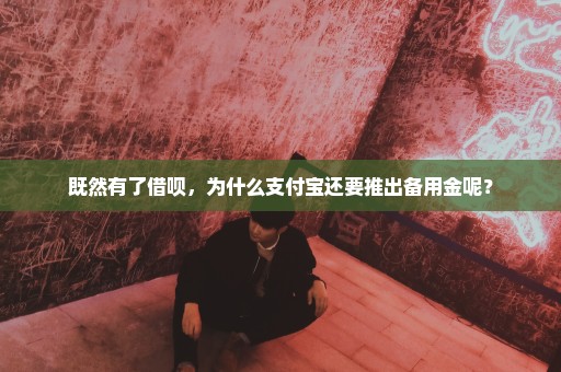 既然有了借呗，为什么支付宝还要推出备用金呢？
