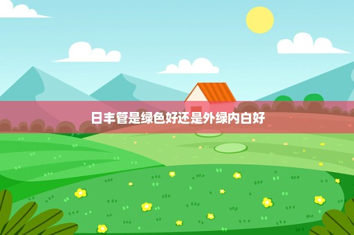 日丰管是绿色好还是外绿内白好