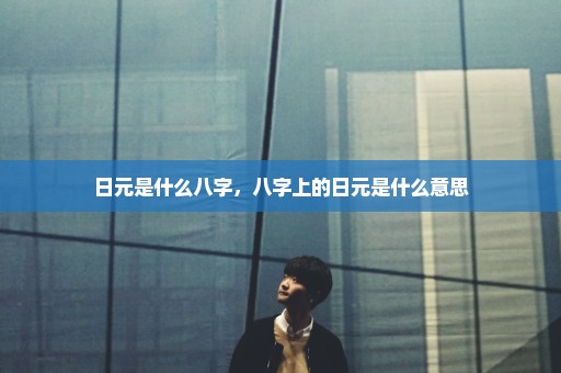 日元是什么八字，八字上的日元是什么意思