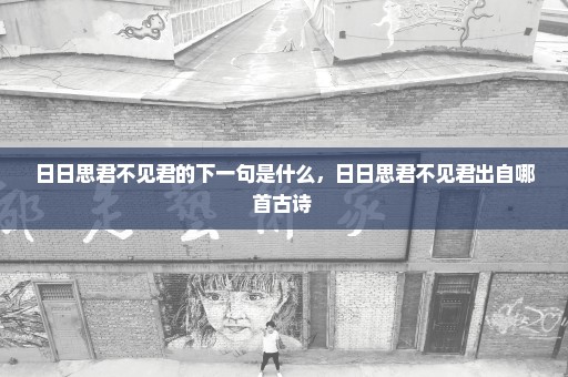 日日思君不见君的下一句是什么，日日思君不见君出自哪首古诗 