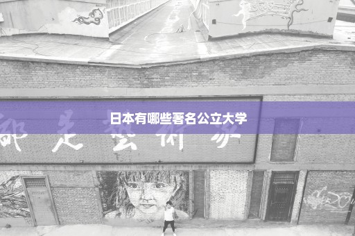 日本有哪些著名公立大学