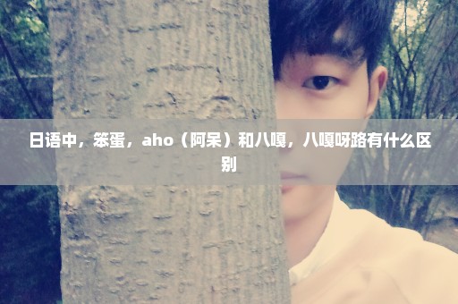 日语中，笨蛋，aho（阿呆）和八嘎，八嘎呀路有什么区别