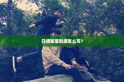 日语笨蛋到底怎么写？