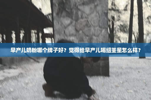 早产儿奶粉哪个牌子好？觉得给早产儿喝纽荃星怎么样？