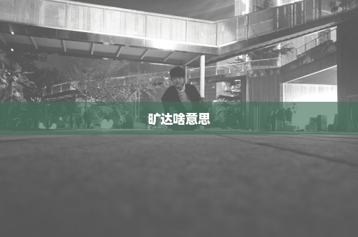 旷达啥意思
