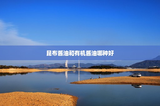 昆布酱油和有机酱油哪种好