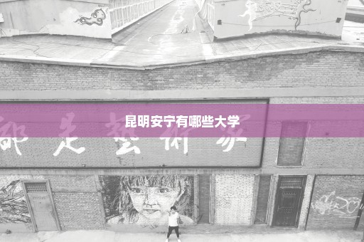 昆明安宁有哪些大学