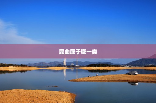 昆曲属于哪一类