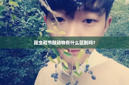 昆虫和节肢动物有什么区别吗？