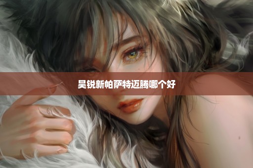 昊锐新帕萨特迈腾哪个好