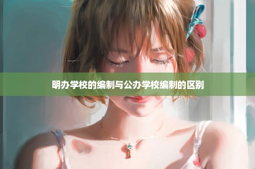 明办学校的编制与公办学校编制的区别