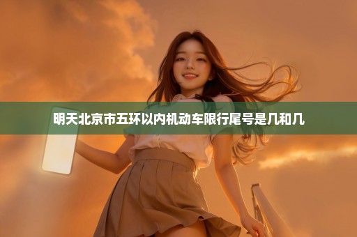 明天北京市五环以内机动车限行尾号是几和几