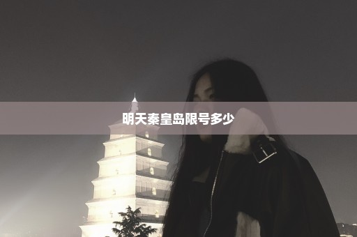 明天秦皇岛限号多少