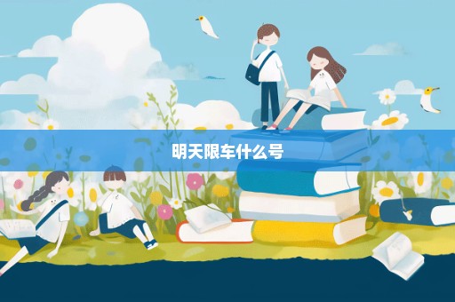 明天限车什么号