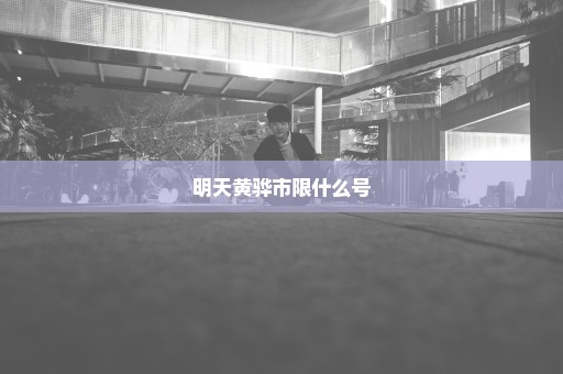 明天黄骅市限什么号