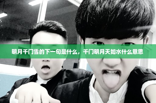 明月千门雪的下一句是什么，千门明月天如水什么意思 