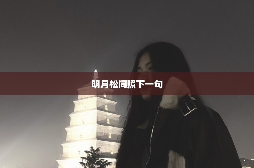 明月松间照下一句