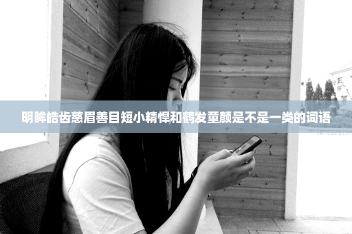 明眸皓齿慈眉善目短小精悍和鹤发童颜是不是一类的词语