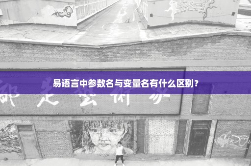 易语言中参数名与变量名有什么区别？