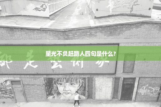 星光不负赶路人四句是什么?