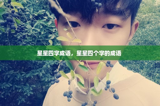 星星四字成语，星星四个字的成语 