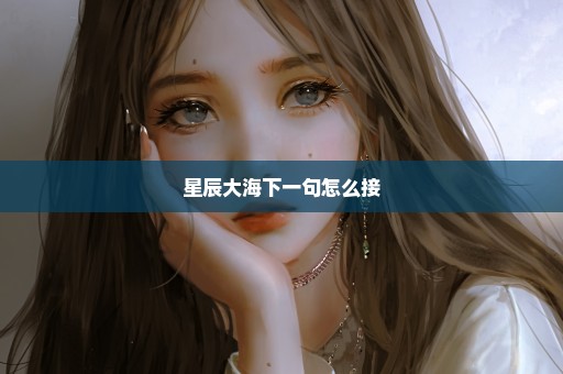 星辰大海下一句怎么接