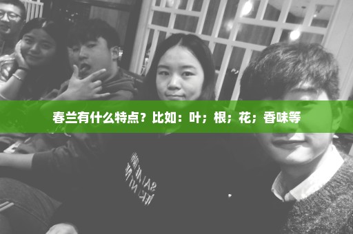 春兰有什么特点？比如：叶；根；花；香味等