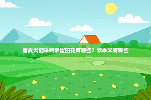 春夏天能采到蜂蜜的花有哪些？秋季又有哪些